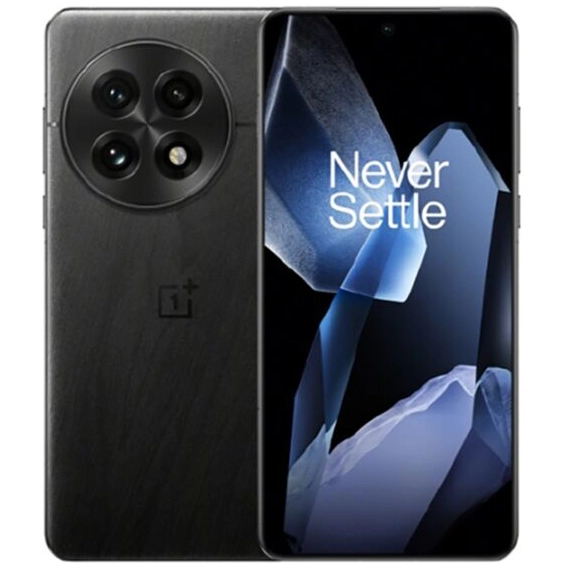OnePlus 13